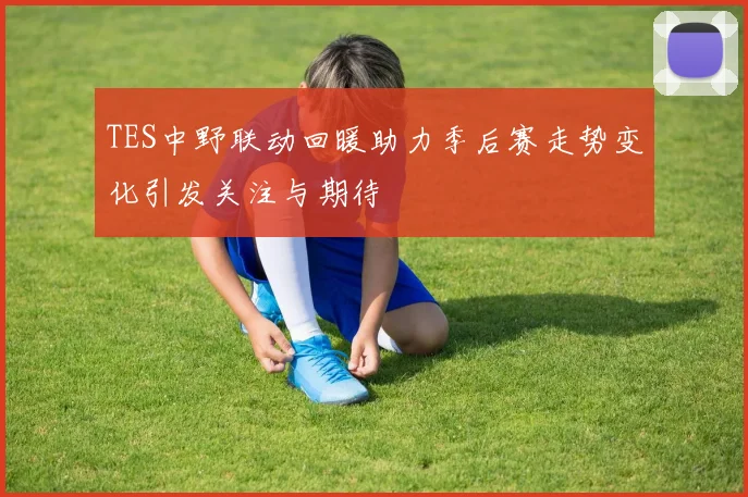 TES中野联动回暖助力季后赛走势变化引发关注与期待
