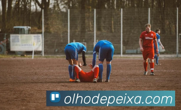奖项证书